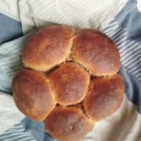 Honey Whole Wheat Challah