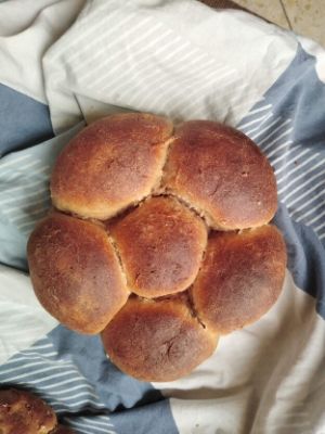 One fully baked, round challah.